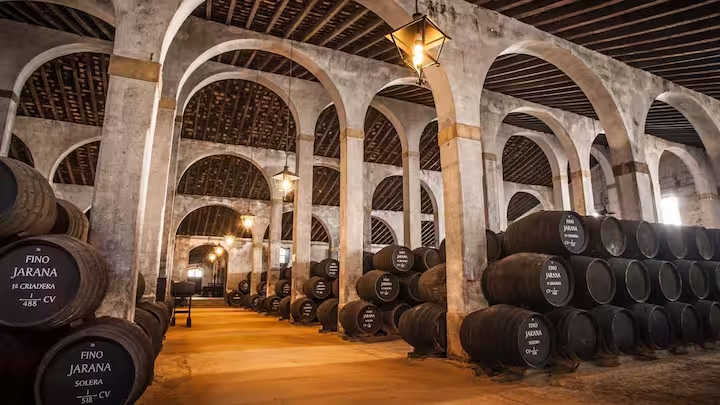 vineria